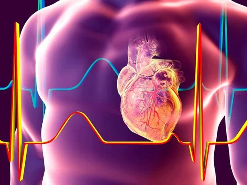 نوبت قلب در شیراز 